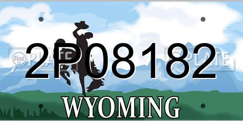 2P08182 Wyoming License Plate