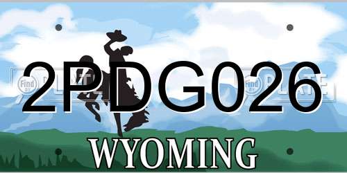 2PDG026 Wyoming License Plate