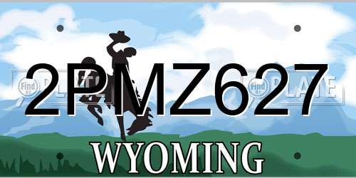 2PMZ627 Wyoming License Plate