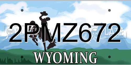 2PMZ672 Wyoming License Plate