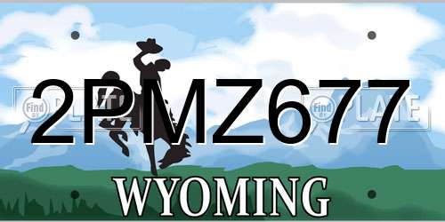 2PMZ677 Wyoming License Plate