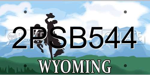 2PSB544 Wyoming License Plate