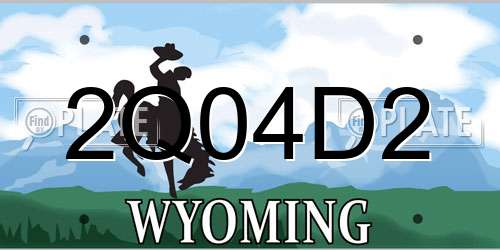 2Q04D2 Wyoming License Plate