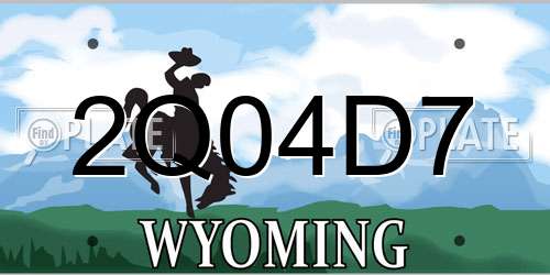 2Q04D7 Wyoming License Plate