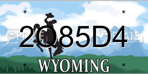 2Q85D4 Wyoming License Plate