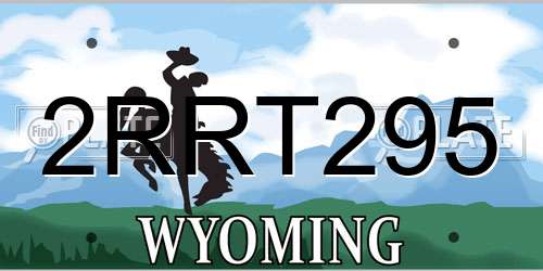 2RRT295 Wyoming License Plate