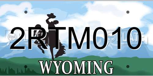 2RTM010 Wyoming License Plate