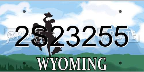 2S23255 Wyoming License Plate