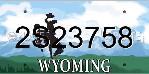 2S23758 Wyoming License Plate