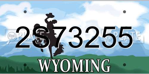 2S73255 Wyoming License Plate