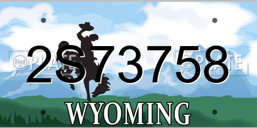 2S73758 Wyoming License Plate