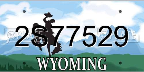 2S77529 Wyoming License Plate