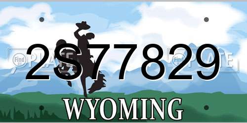 2S77829 Wyoming License Plate