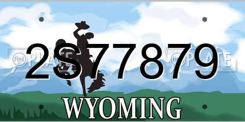 2S77879 Wyoming License Plate