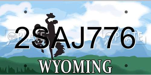 2SAJ776 Wyoming License Plate