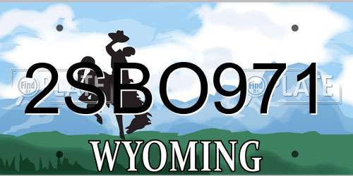 2SBO971 Wyoming License Plate