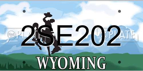 2SE202 Wyoming License Plate