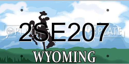 2SE207 Wyoming License Plate