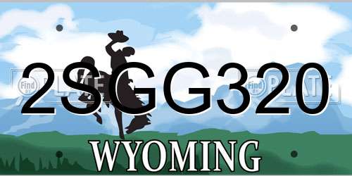 2SGG320 Wyoming License Plate