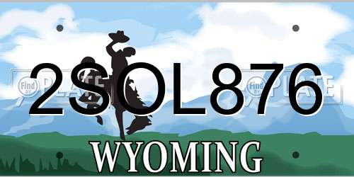 2SOL876 Wyoming License Plate