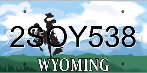 2SOY538 Wyoming License Plate
