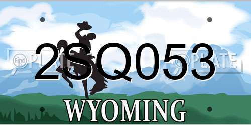 2SQ053 Wyoming License Plate