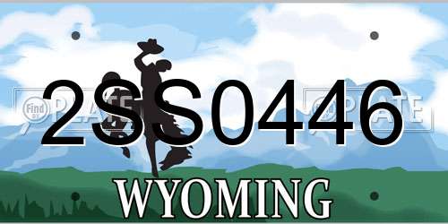 2SS0446 Wyoming License Plate