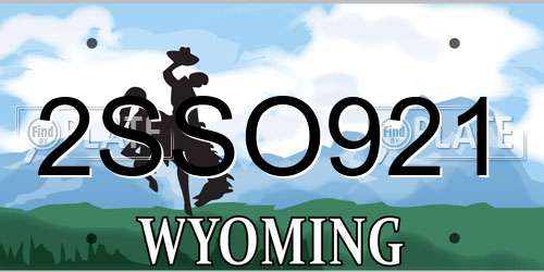 2SSO921 Wyoming License Plate