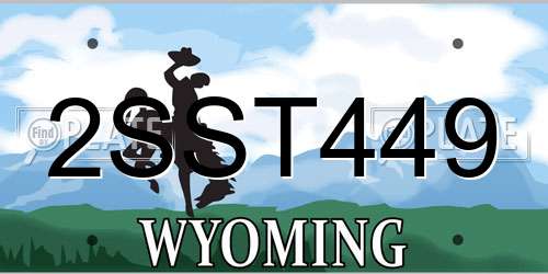 2SST449 Wyoming License Plate