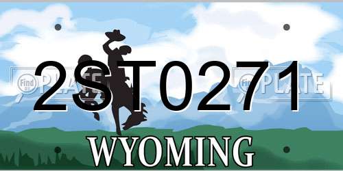 2ST0271 Wyoming License Plate