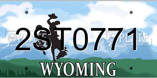 2ST0771 Wyoming License Plate