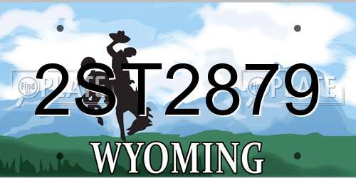 2ST2879 Wyoming License Plate