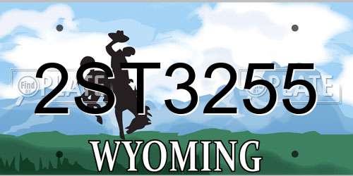 2ST3255 Wyoming License Plate