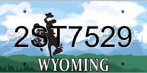 2ST7529 Wyoming License Plate
