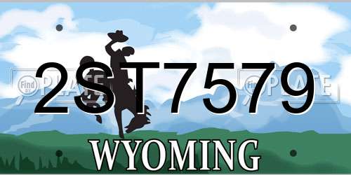 2ST7579 Wyoming License Plate