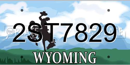 2ST7829 Wyoming License Plate