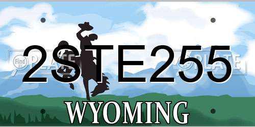 2STE255 Wyoming License Plate