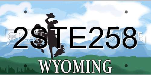 2STE258 Wyoming License Plate