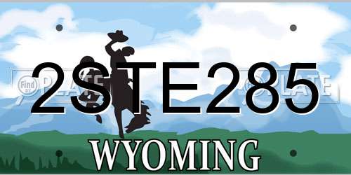 2STE285 Wyoming License Plate