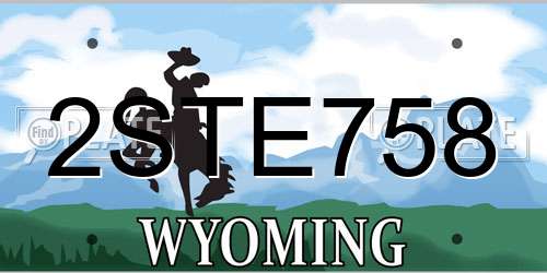 2STE758 Wyoming License Plate