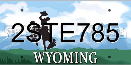 2STE785 Wyoming License Plate