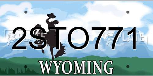 2STO771 Wyoming License Plate