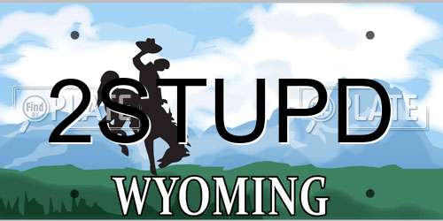 2STUPD Wyoming License Plate