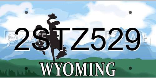 2STZ529 Wyoming License Plate