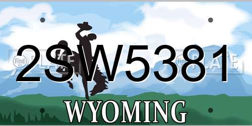 2SW5381 Wyoming License Plate