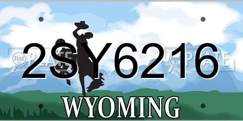2SY6216 Wyoming License Plate