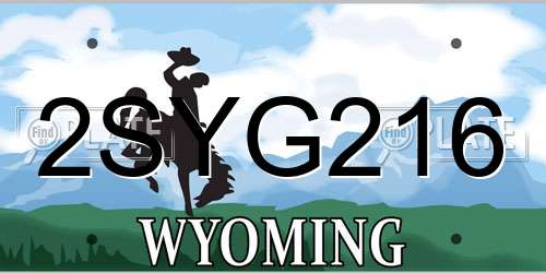2SYG216 Wyoming License Plate