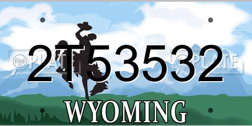 2T53532 Wyoming License Plate