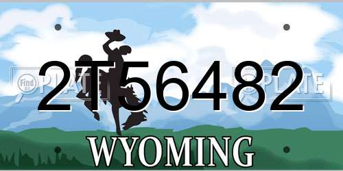 2T56482 Wyoming License Plate