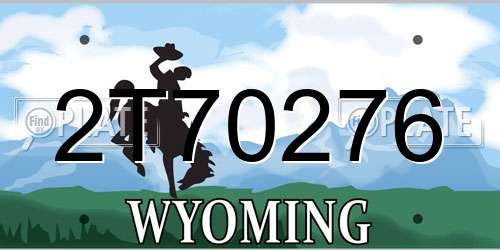 2T70276 Wyoming License Plate